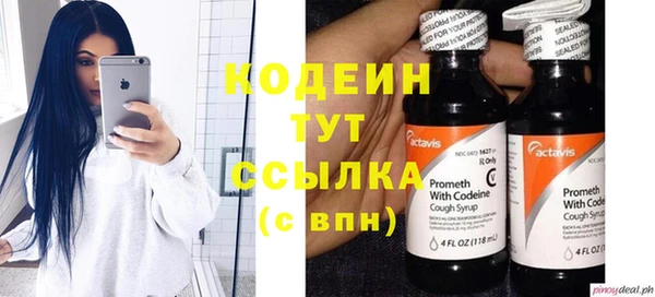 мяу мяу кристалл Корсаков