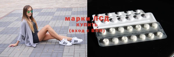 ПСИЛОЦИБИНОВЫЕ ГРИБЫ Костерёво