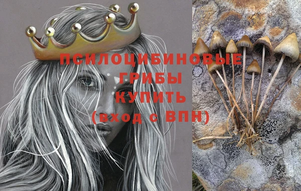 ПСИЛОЦИБИНОВЫЕ ГРИБЫ Костерёво
