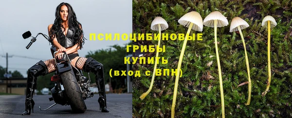 мяу мяу кристалл Корсаков