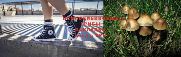 ПСИЛОЦИБИНОВЫЕ ГРИБЫ Костерёво