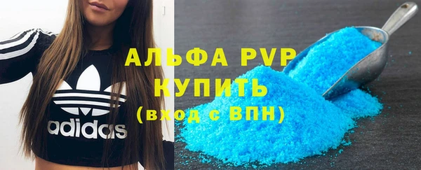 ПСИЛОЦИБИНОВЫЕ ГРИБЫ Костерёво