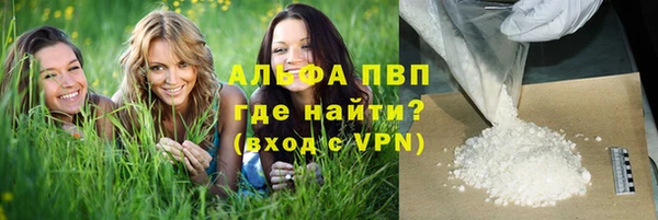мяу мяу кристалл Корсаков