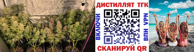 ТГК жижа  Медынь 