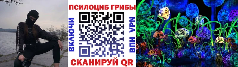 Псилоцибиновые грибы MAGIC MUSHROOMS Медынь
